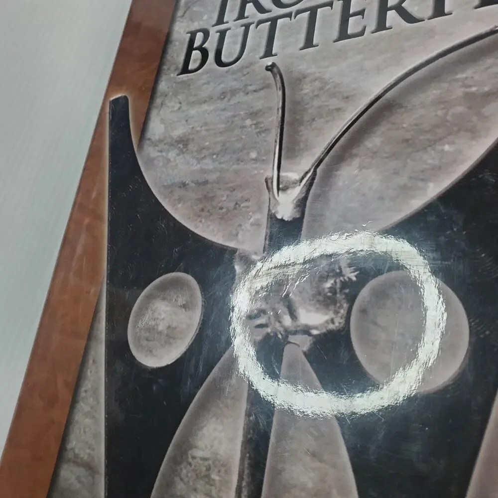 Iron Butterfly - Scots Genealogy Ancestry by Terry Sellers, Jr. - Family History